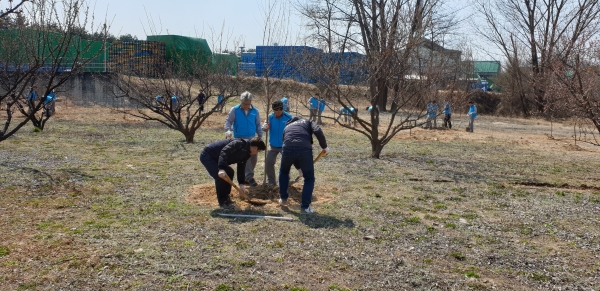 하이트진로 직원들이 식목일을 맞아 나무를 심고 있다.